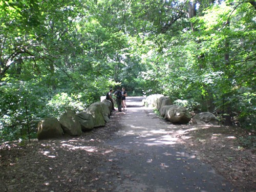 Prospect Park Boulder Bridge