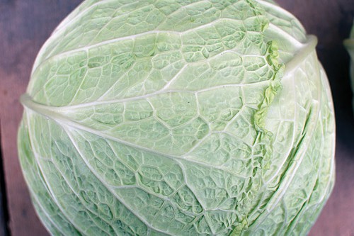Cabbage. Cabbage is a good budget food.