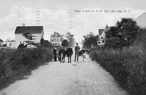 Bay Ridge 88th Street 19th century rural Brooklyn