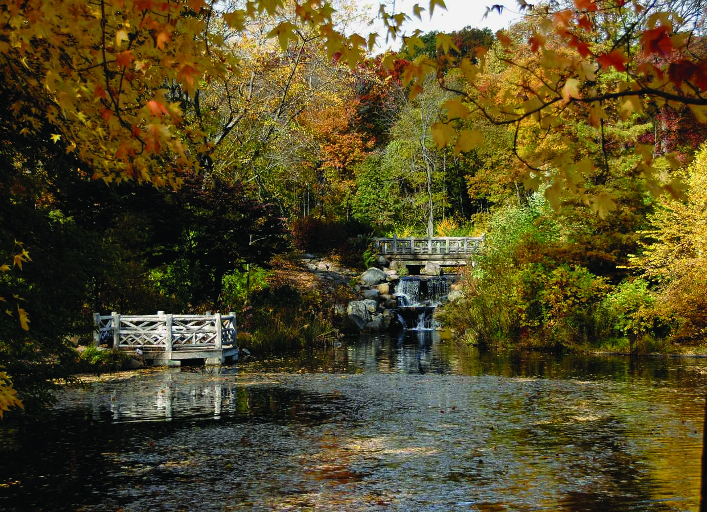 The Most Beautiful Photographs of Prospect Park You’ve Ever Seen