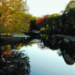 The Most Beautiful Photographs of Prospect Park You've Ever Seen