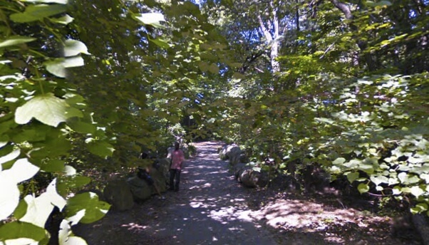 prospect park trails woods google
