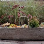 BK12_HOMEVIS_ATHENA2