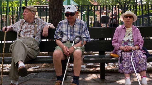 nyc senior citizens park bench 