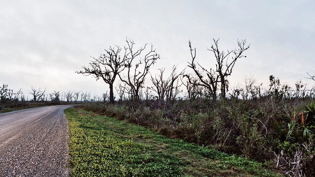true detective setting louisiana cary fukunaga