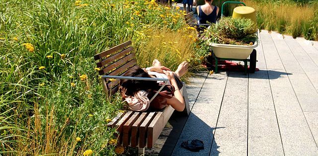 The_Highline_in_NYC