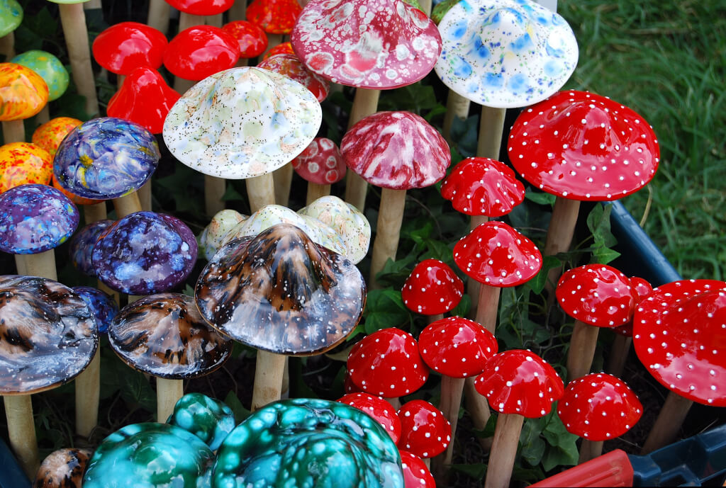 Magic_mushrooms