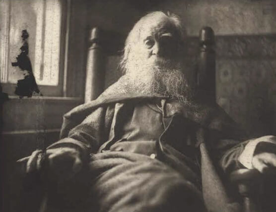 Walt Whitman had a fluid sexual identity in the 19th century. Photo: Brooklyn Musuem