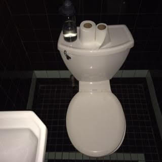 The toilet at the Narrows, which is about a foot and half from the door. 