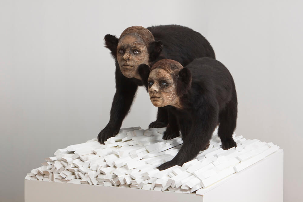 Kate Clark, "Fortitude" Medium: bear hide, foam, clay, pins, thread, rubber eyes, wood, paint