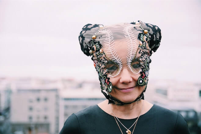 Björk Iceland Government Protest Powerline