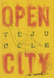 94_open-city-teju-cole