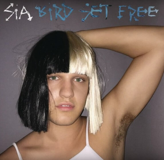 Sia New Single Bird Set Free