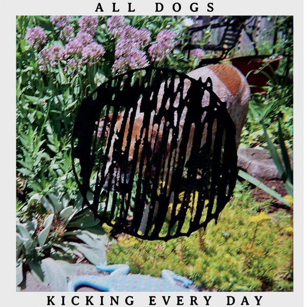 All Dogs Kicking Every Day