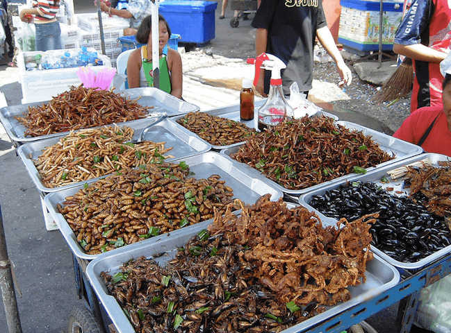 Deep-fried critters in Bangkok, Thailand. 