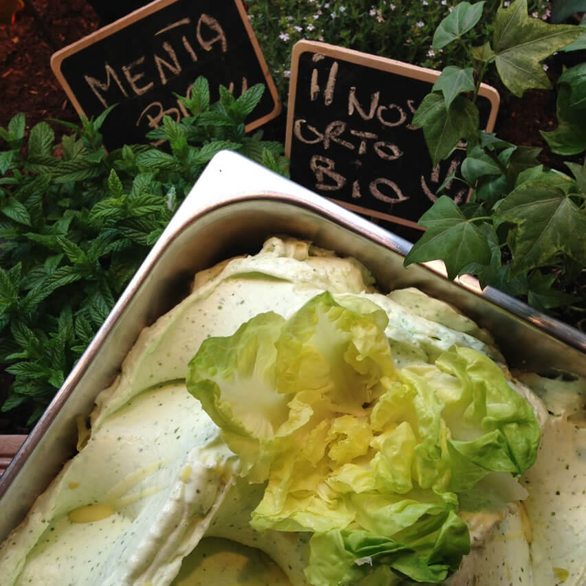 organic_lettuce