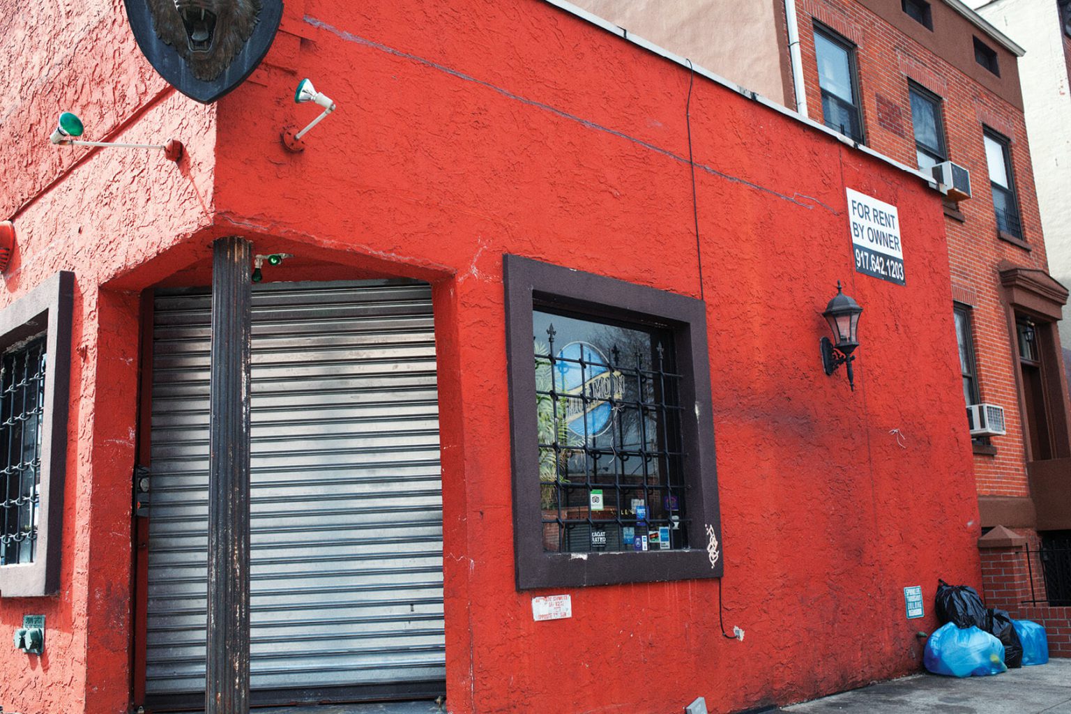 The Rise and Fall of Smith Street Brooklyn Magazine