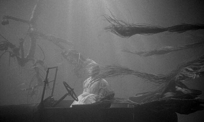 the-night-of-the-hunter-shelley winters