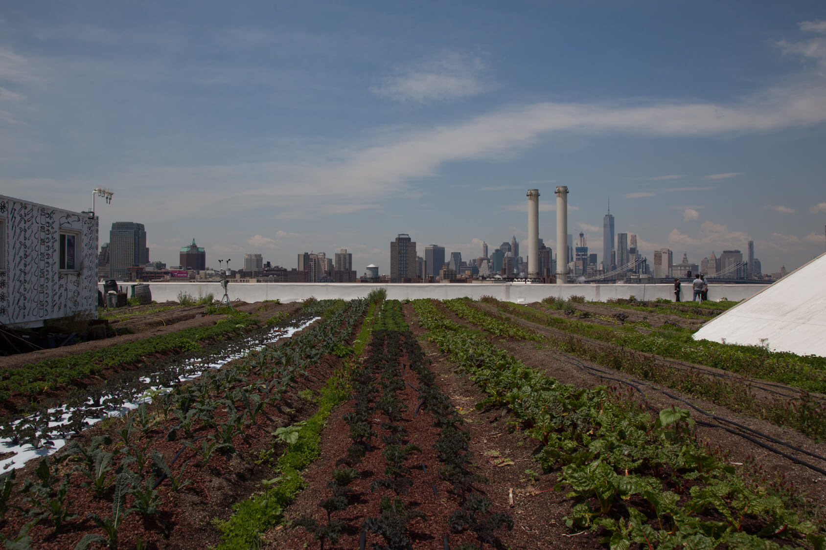 At the Brooklyn Grange, New York City's Largest Rooftop Farm Brooklyn
