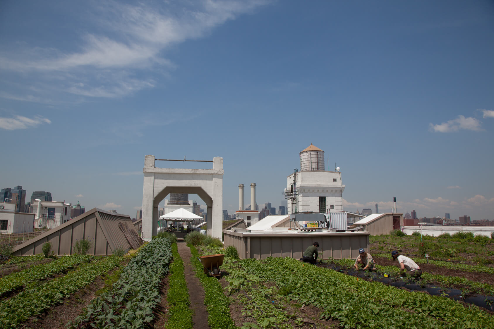 At the Brooklyn Grange, New York City's Largest Rooftop Farm Brooklyn