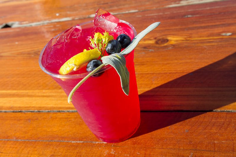 Inside the Waterfront Beer Garden That's Williamsburg's Best Kept