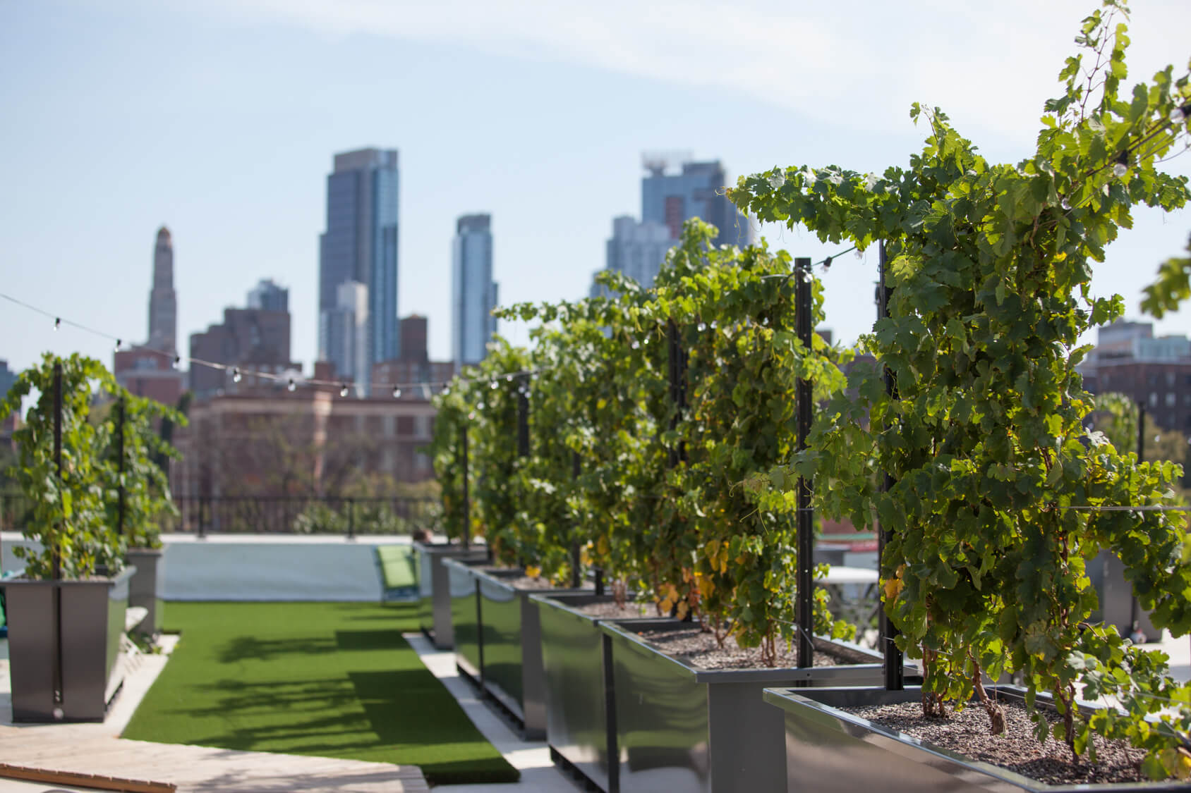 Meet the Universe's—and Brooklyn's—First Rooftop Vintage Wine