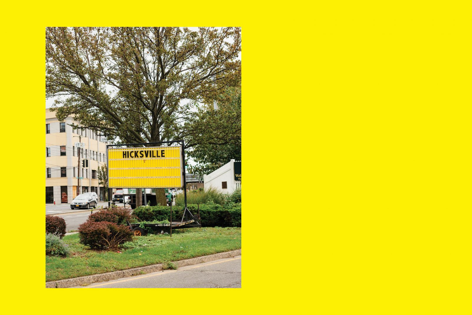 Meet The Lemon Twigs, “The Next Billy Joel of Hicksville” Brooklyn