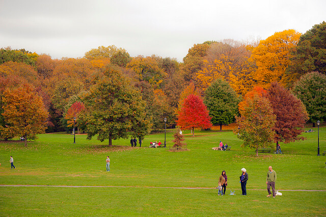 fall-prospect-park