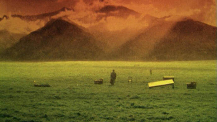 nyc-repertory-cinema-on-top-of-the-whale