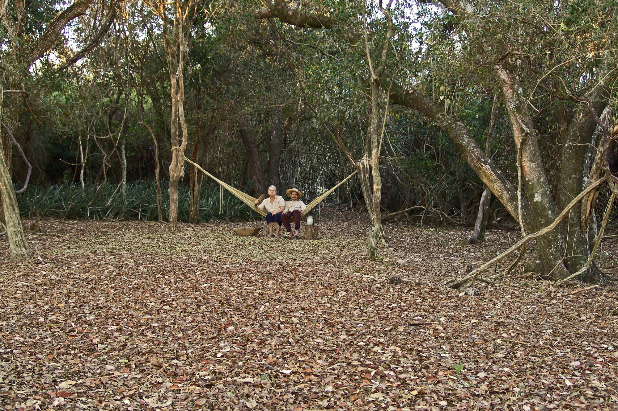 repertory cinema-Paraguayan-Hammock