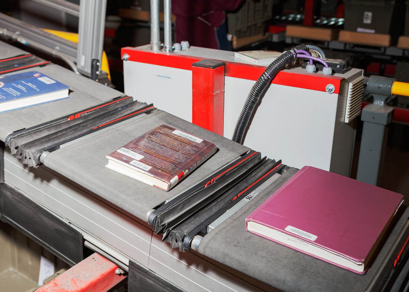 The Magic (and Hard Work) Behind Brooklyn Public Library’s Millions of ...