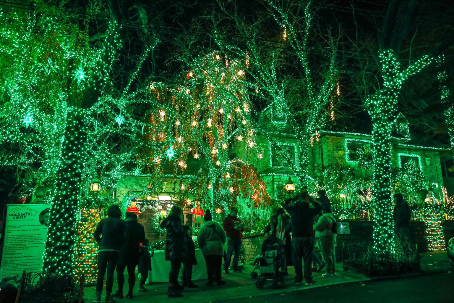 Photos of the wildest 2021 Dyker Heights Christmas lights Brooklyn Magazine