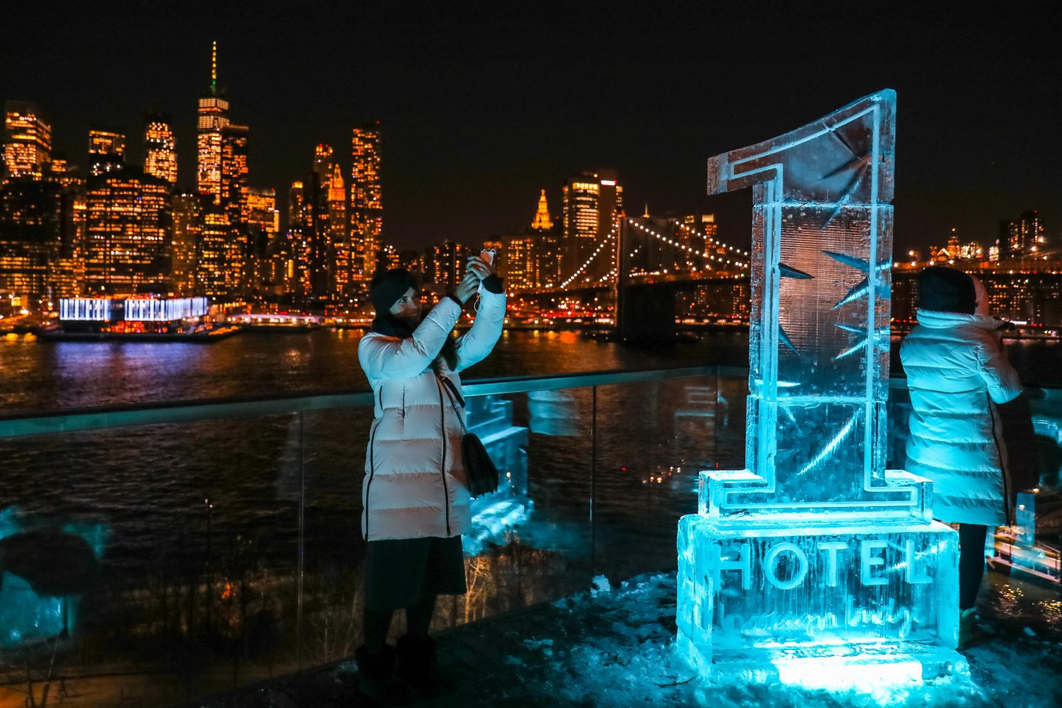 Very chill The 1 Hotel in Brooklyn Bridge Park opens an allice polar