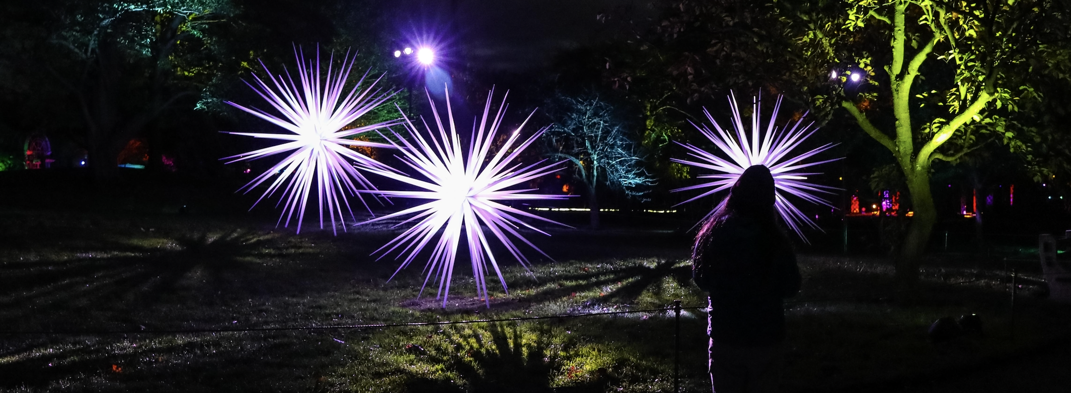 Winter wonderland 'Lightscape' returns to Brooklyn Botanic Garden