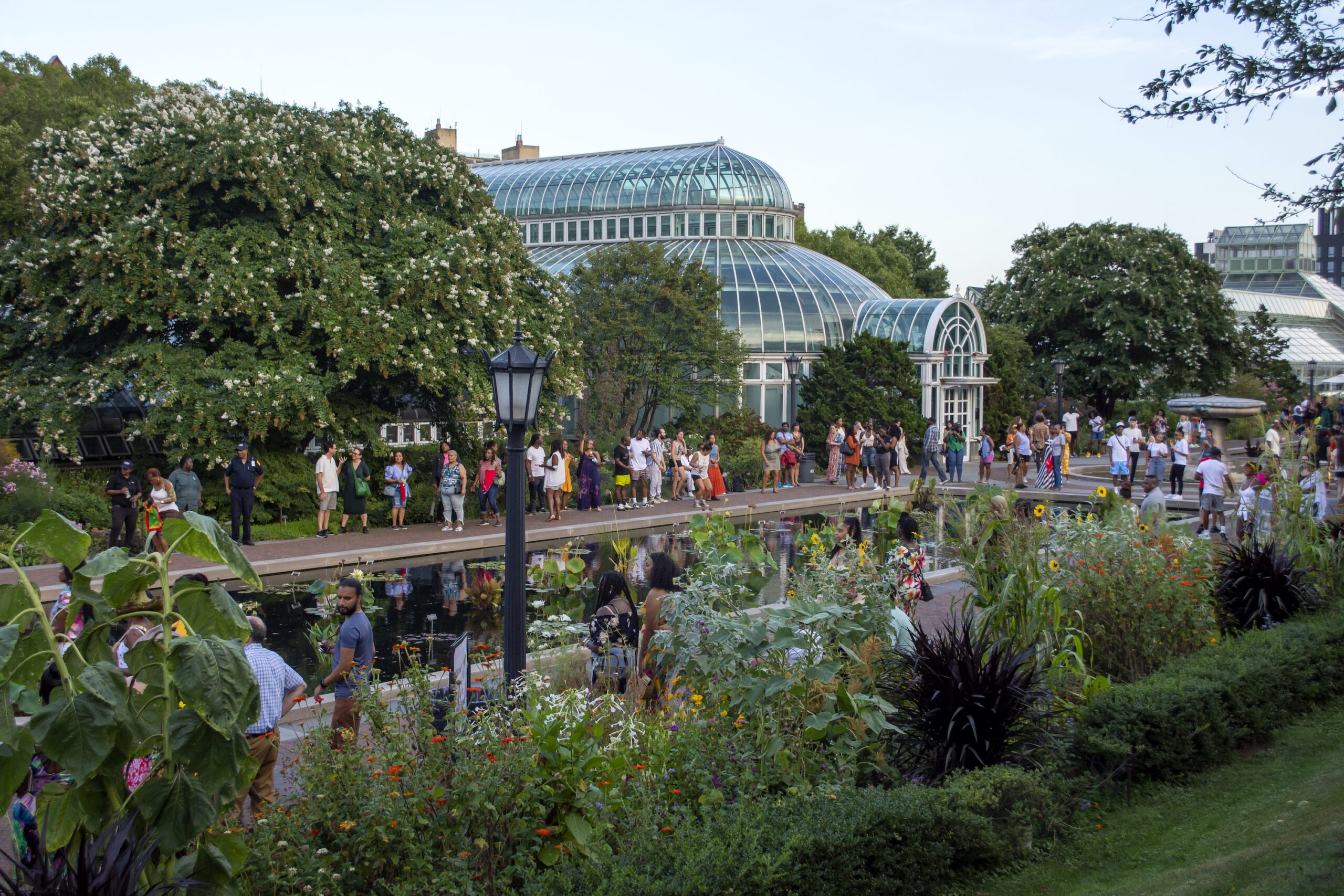 Summer Blooms At Brooklyn Botanic Garden Brooklyn Magazine