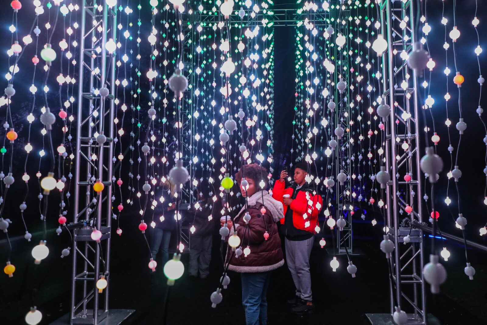 Lightscape is back at BBG with a million lights, new surprises, Taylor Swift  and a 'Brooklyn Hip-Hop Zone' - Brooklyn Magazine