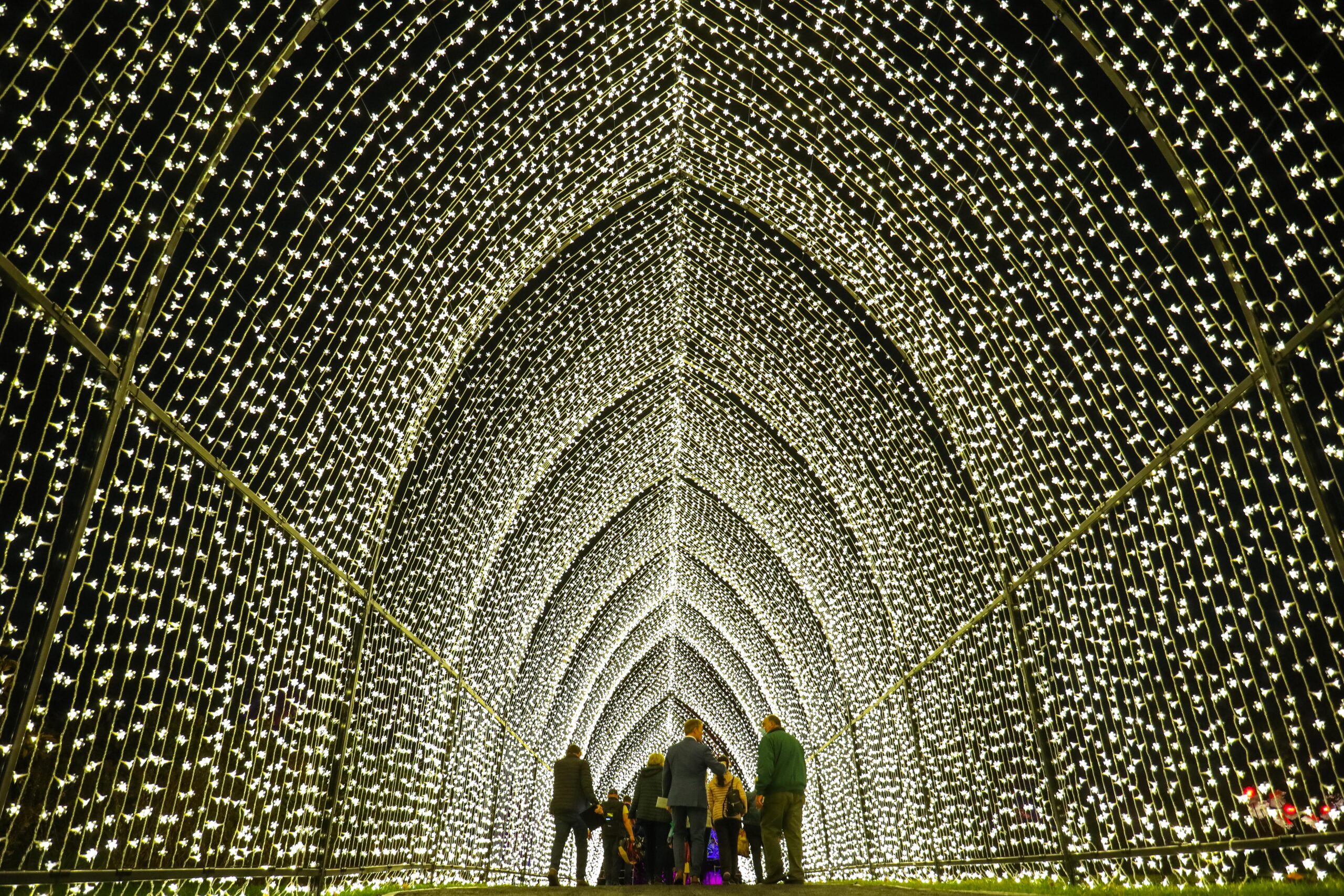 Preview Brooklyn Botanic Garden’s stunning holiday Lightscape returns