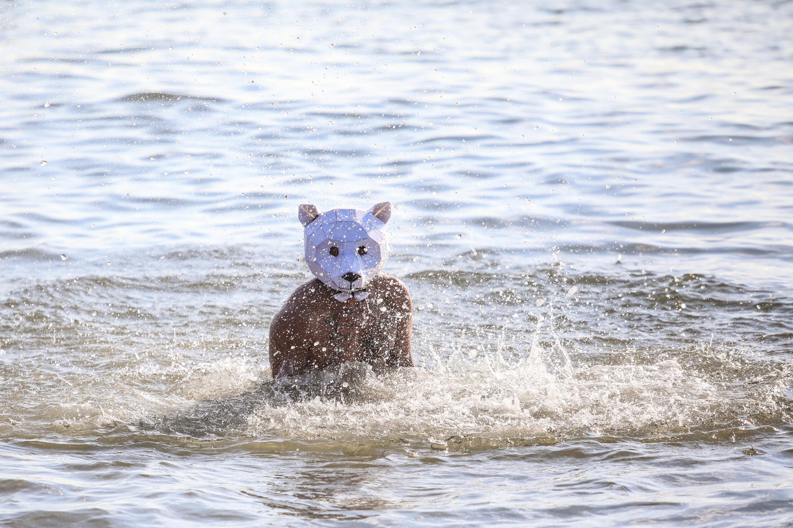Scenes from Coney Island's 121st annual New Year's Day Polar Bear