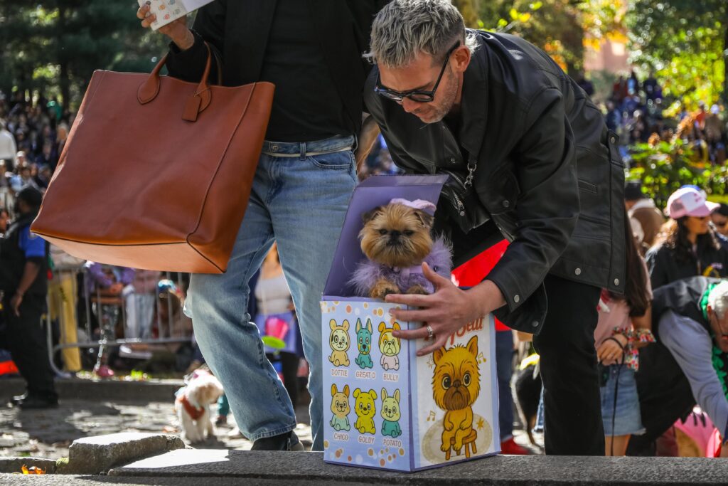Scenes From The 2025 Great Pupkin Dog Costume Contest in Fort Greene