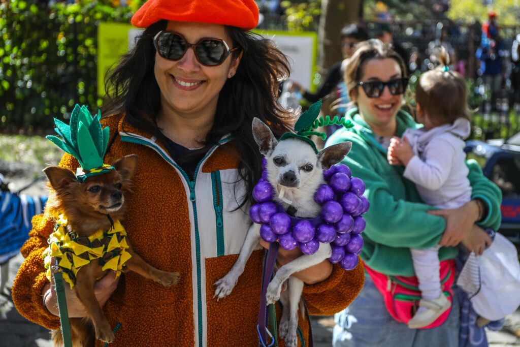 Scenes From The 2025 Great Pupkin Dog Costume Contest in Fort Greene