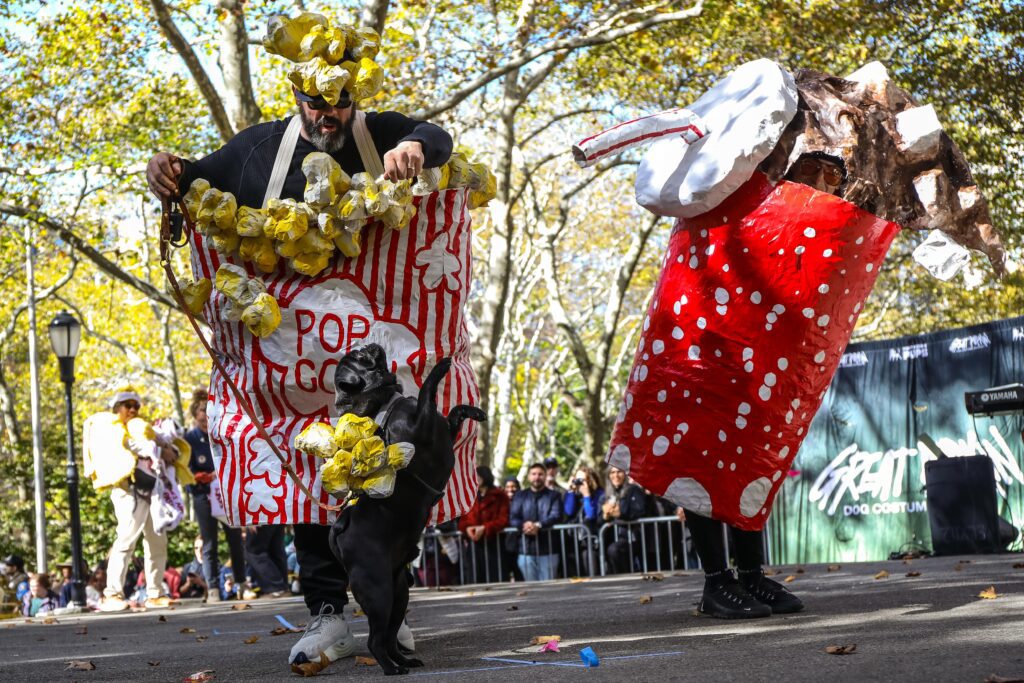 Scenes From The 2025 Great Pupkin Dog Costume Contest in Fort Greene
