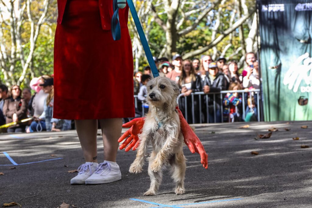 Scenes From The 2025 Great Pupkin Dog Costume Contest in Fort Greene