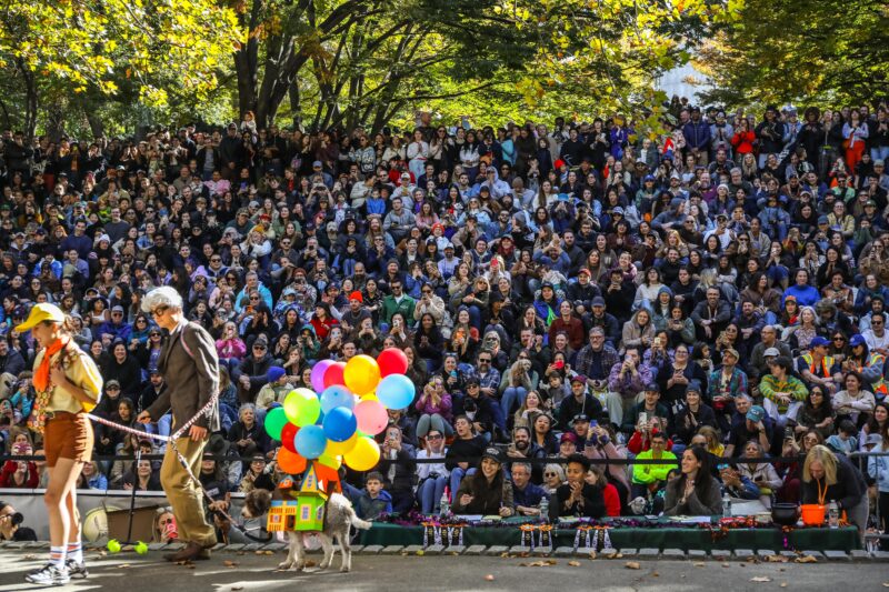 Scenes From The 2025 Great Pupkin Dog Costume Contest in Fort Greene