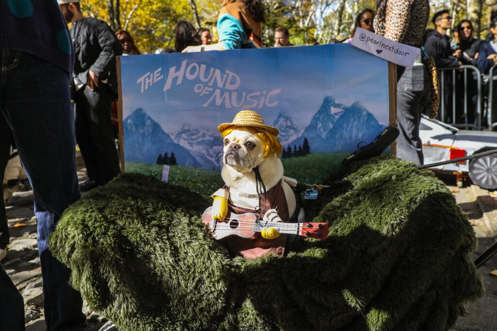 Scenes From The 2025 Great Pupkin Dog Costume Contest in Fort Greene