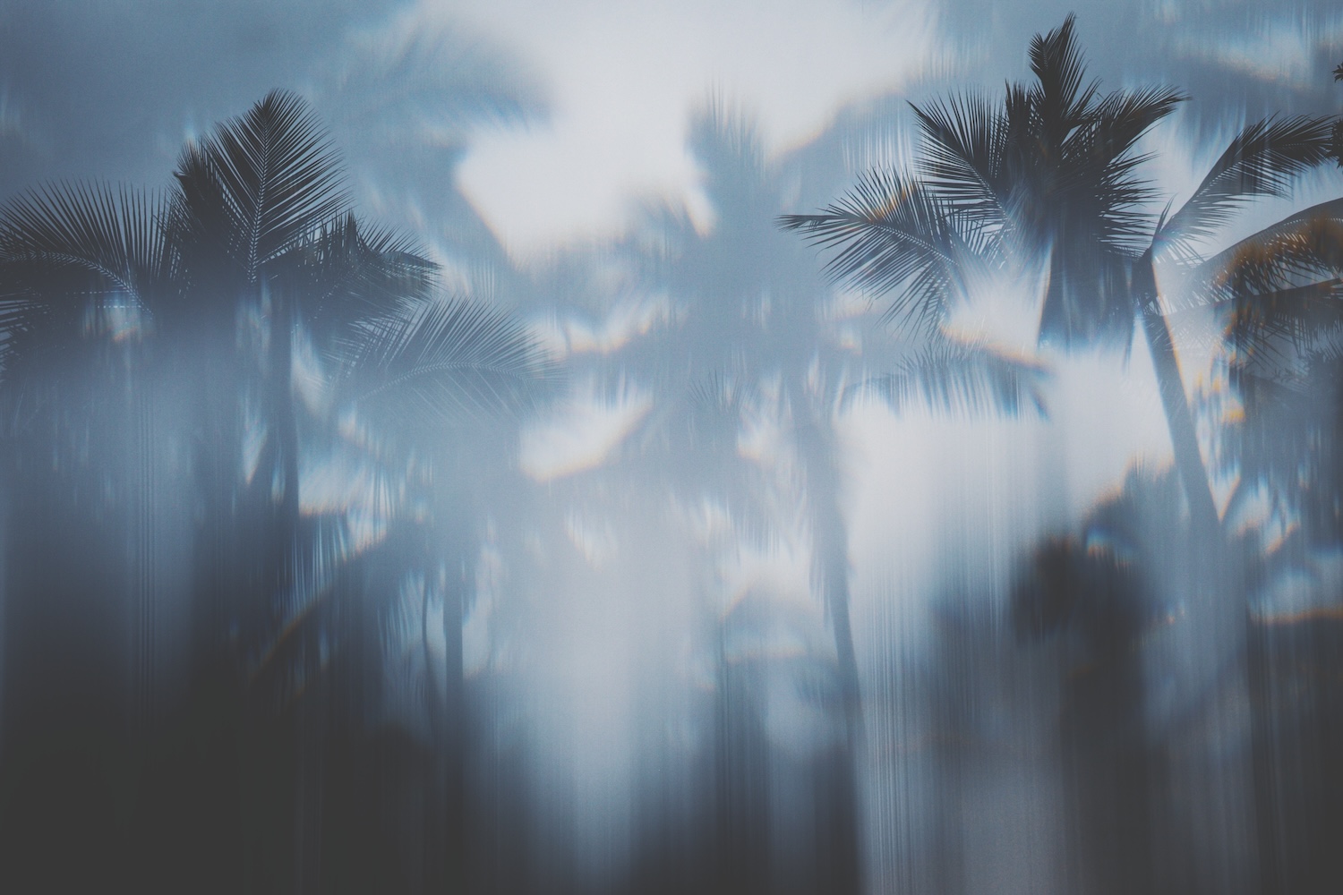 Funkin’ For Jamaica: A Guide To Fundraisers for Hurricane Melissa Relief