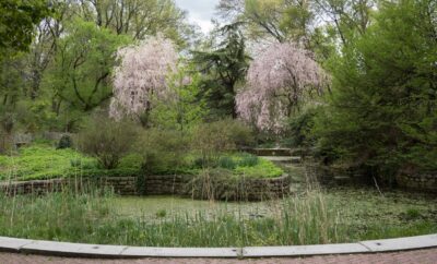The Prospect Park Rose Garden is Getting a Kid-and-Bird-Friendly Upgrade
