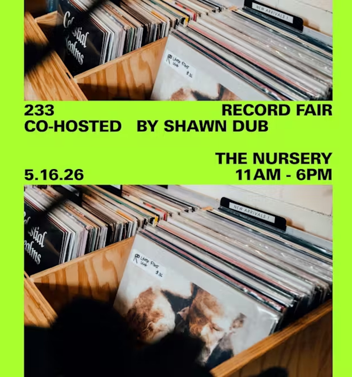 Things to Do in Brooklyn This Weekend