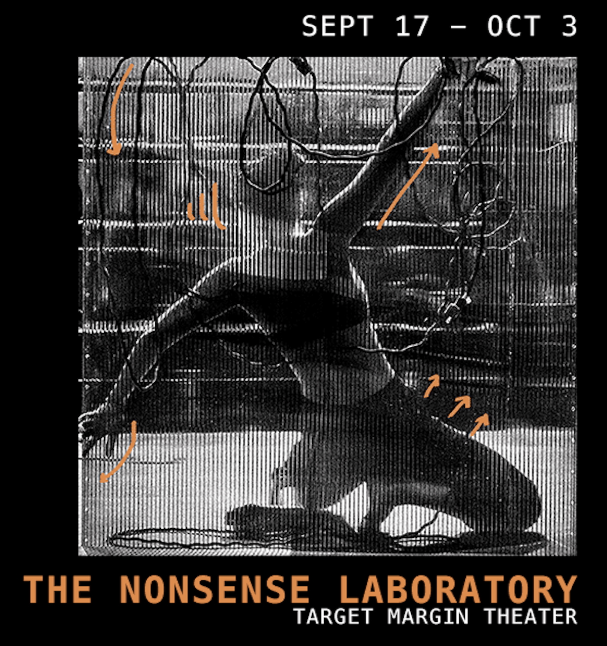 Things to Do in Brooklyn This Weekend