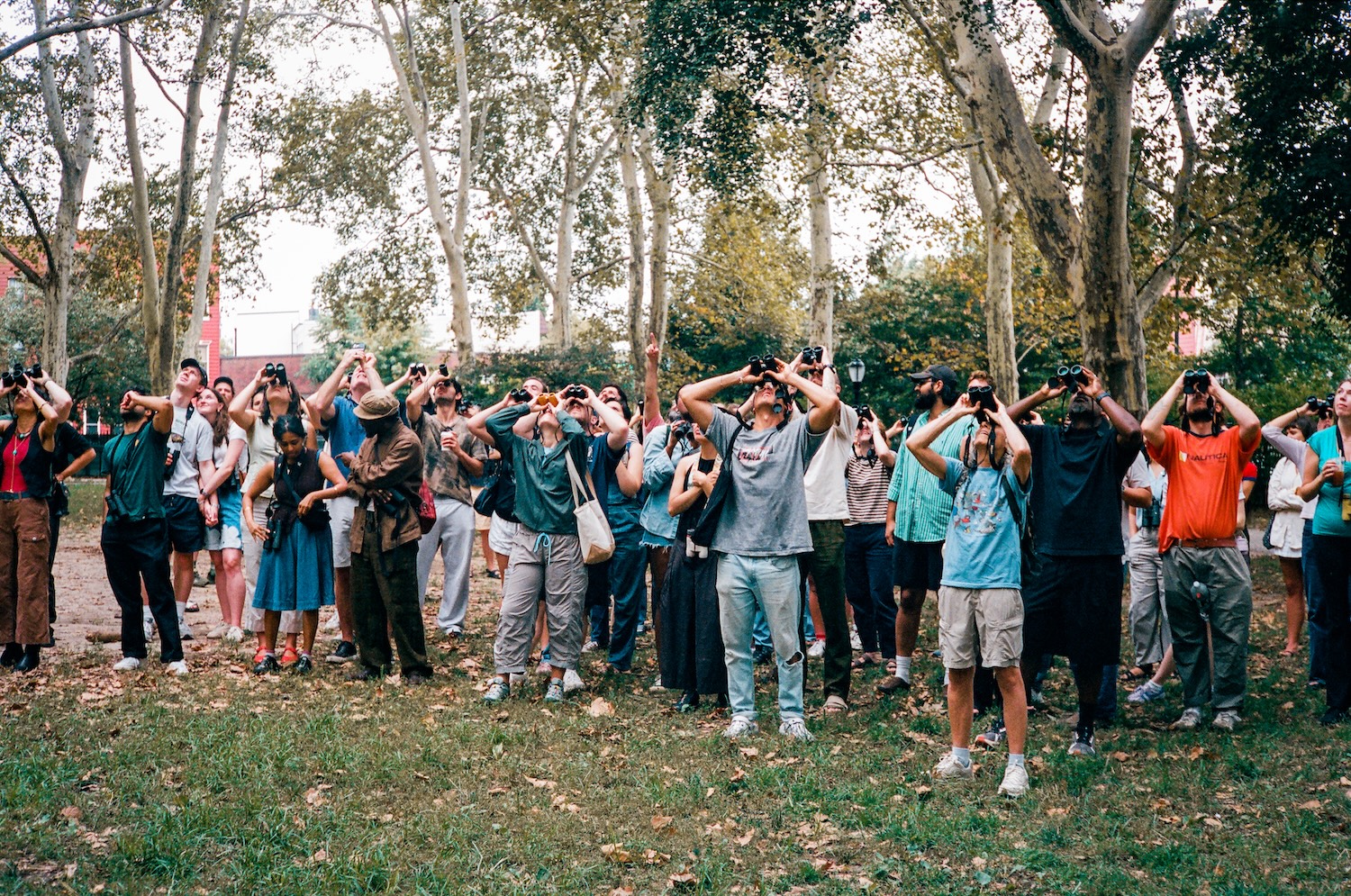 The McGolrick Bird Club bird watching group meets in the North Brooklyn park on a Saturday morning.