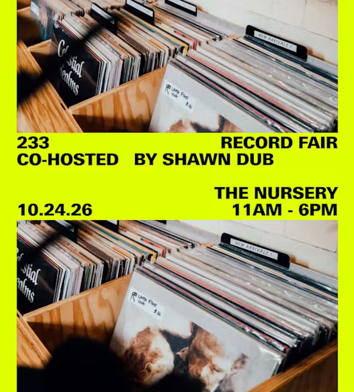 Things to Do in Brooklyn This Weekend